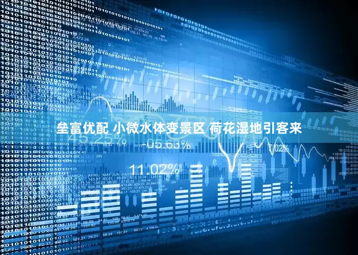 垒富优配 小微水体变景区 荷花湿地引客来